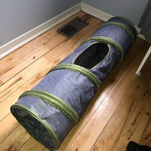 Cat Tunnel